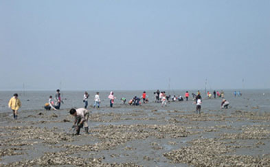 浦内漁村体験村