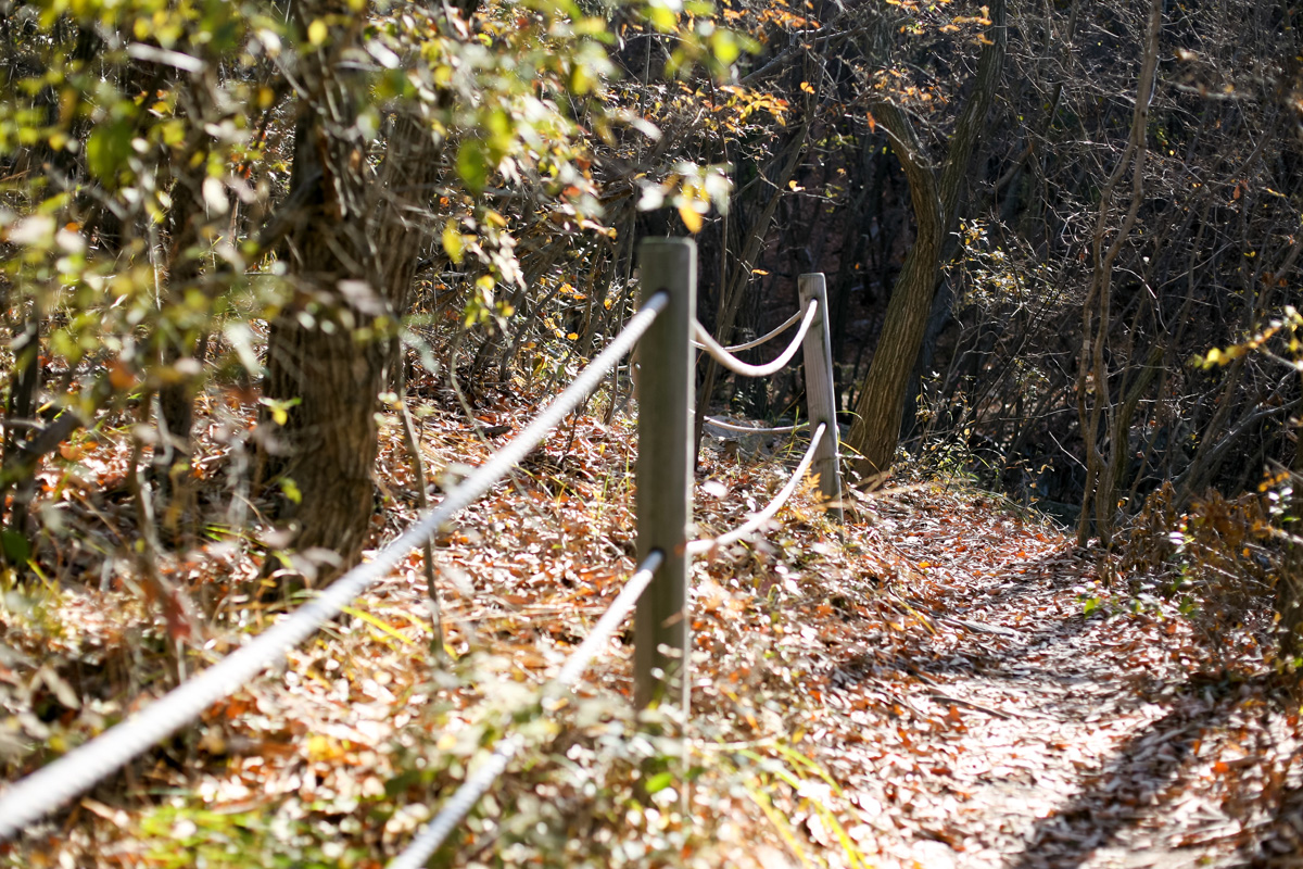 国思峰 （ククサボン）/ 虎龍谷山（ホリョンコクサン）