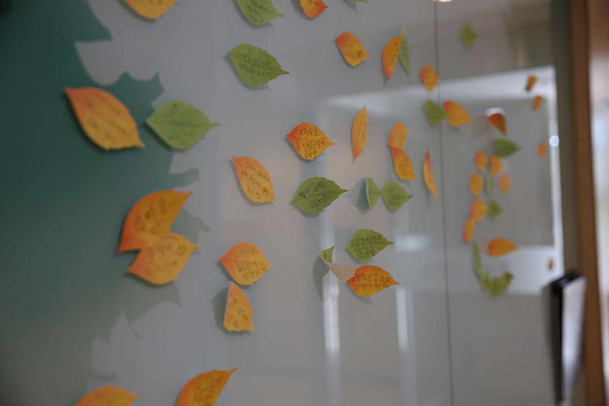 Visitors’ messages on a commemorative peace tree