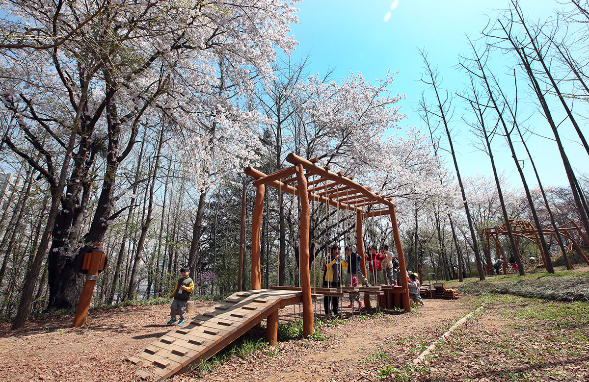 永宗鎮公園の森の中の幼稚園