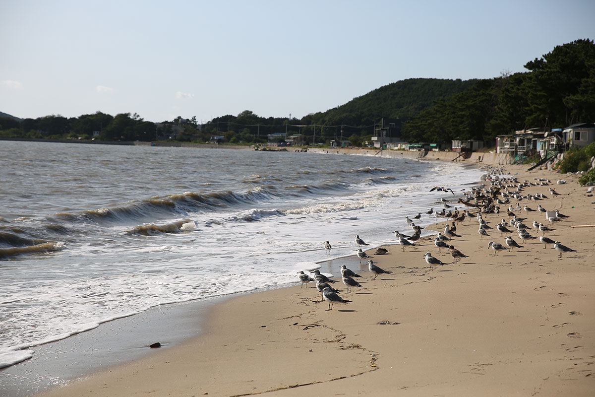 긴 모래사장이 펼쳐진 마시안해변