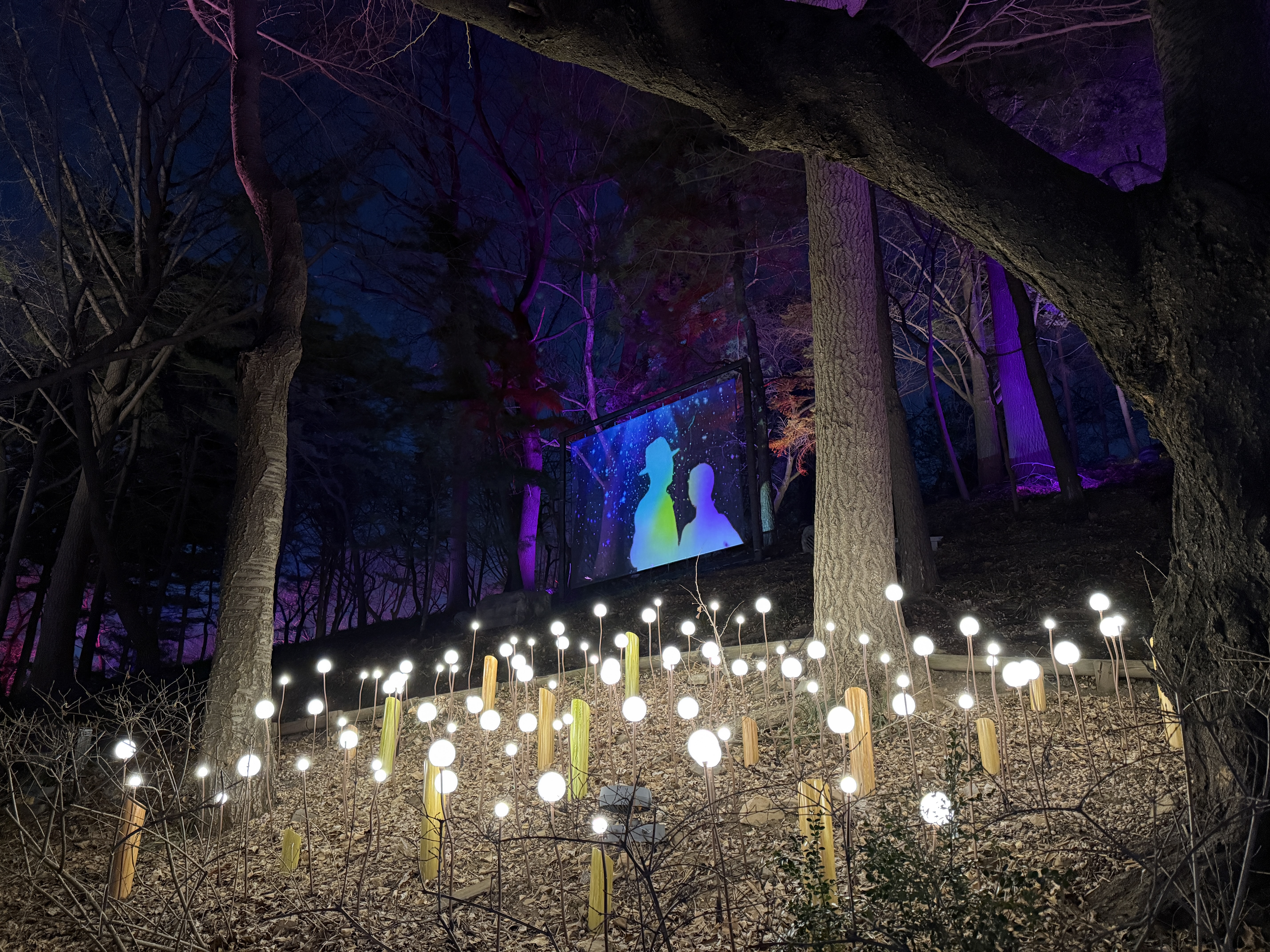 작품명 : 〈생명을 찾다 / 행복을 찾다〉