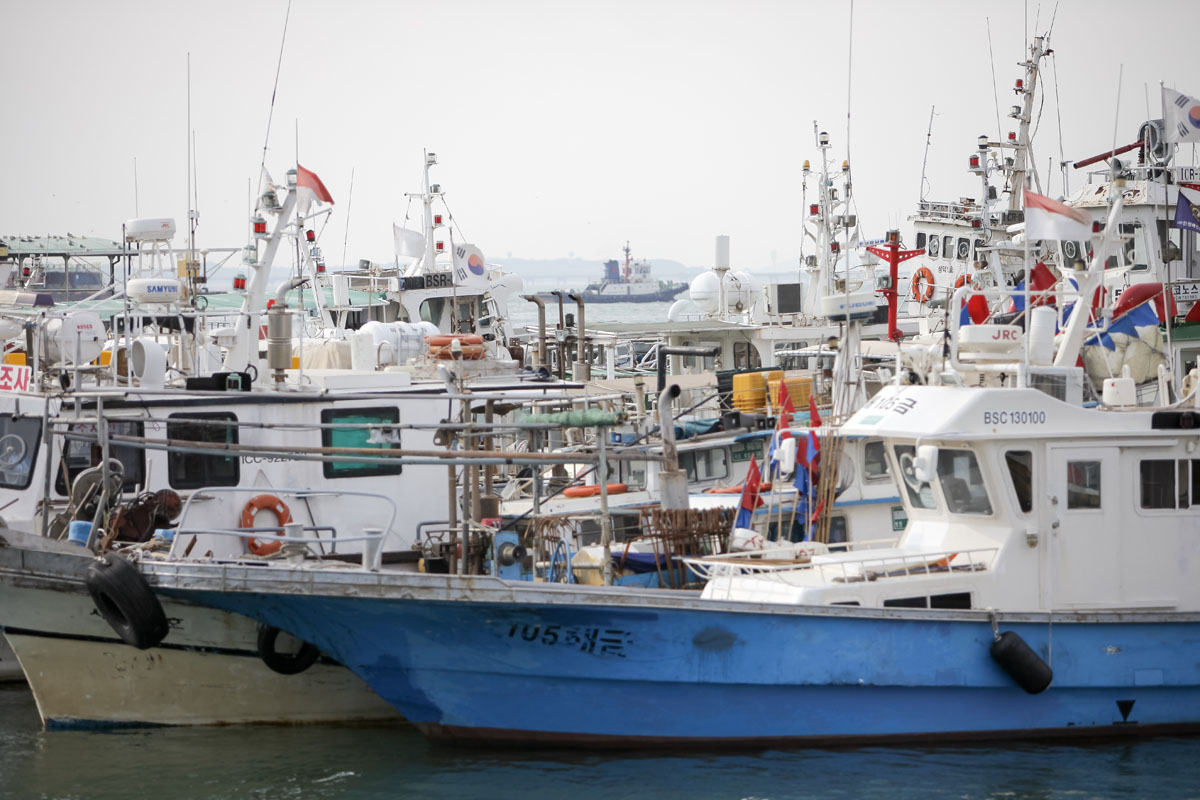 Sea fishing