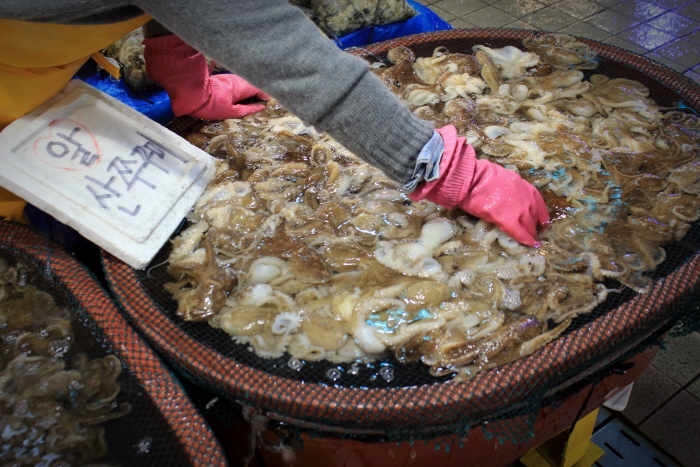 Incheon General Fish Market3