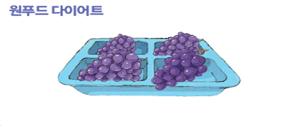 원푸드 다이어트