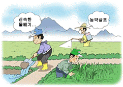 태풍 대비 안내 이미지
