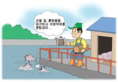 태풍 대비 안내 이미지